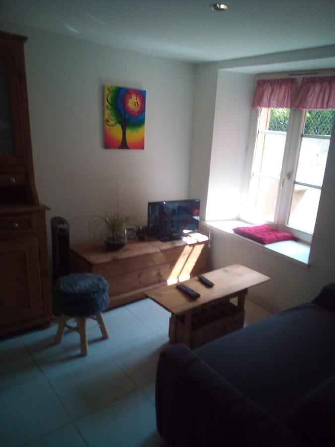 L'Oasis Maisonnette Centre Ville 3 Chambres Terrasse Espace Vert Prive Parc Sainte Croix Center Parc 20 Minutes Sarrebourg Esterno foto